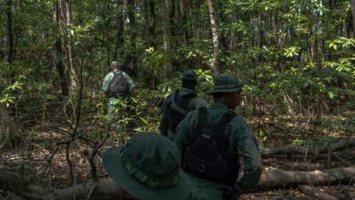 How A Tourist Paradise Became A Drug Trafficking Magnet