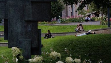 Why Studying At An English Speaking University Now Costs Extra In Montreal