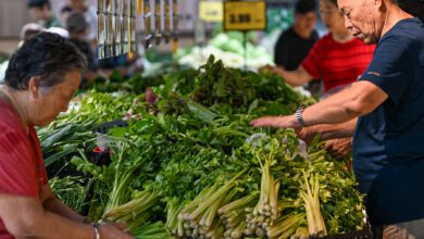 Record Rainfall Spoils Crops in China, Rattling Leaders
