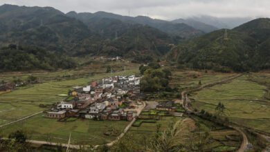 In Rural China, ‘sisterhoods’ Demand Justice, And Cash