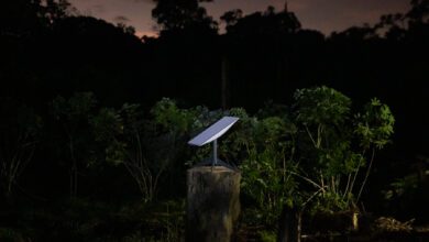 Brazilian Court Makes One Musk Company Pay Fines Of Another