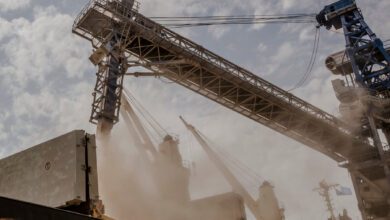 Ukraine Says Russian Missile Hit Grain Ship In Black Sea