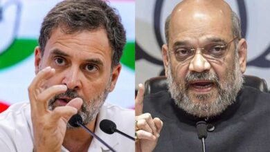"speaking Anti National Things...": Amit Shah On Rahul Gandhi's Reservation Remark