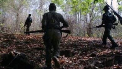 9 Maoists Killed In Encounter With Security Personnel In Chhattisgarh