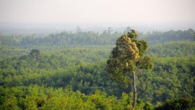 2 Mizoram Teens Kidnapped By Myanmar Insurgents Return Home