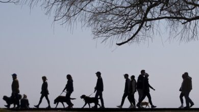 Canada’s Population Grew 0.6% In Q2: Statscan