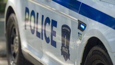 Bear Sighting At Dartmouth Park Has Police Asking Public To Avoid Area