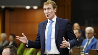 Isis Suspect Came To Canada On Student Visa In June 2023, Minister Says