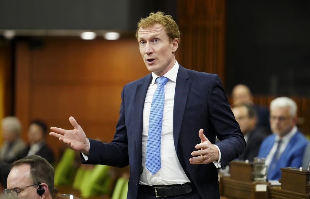 Isis Suspect Came To Canada On Student Visa In June 2023, Minister Says