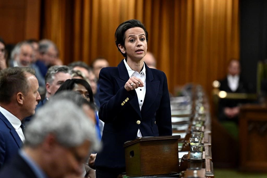 Conservative Deputy Leader Says Canadian ‘consensus’ Immigration Is Under Strain