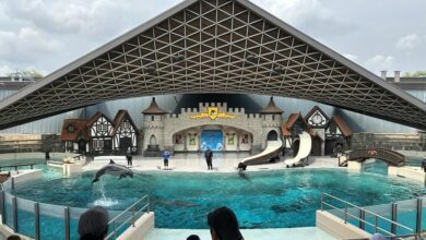 Marineland Owner Marie Holer Dies, Park Says ‘succession Plan’ In Place