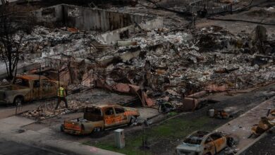 Jasper Wildfire Under Control Nearly 2 Months Since Evacuation: Parks Canada