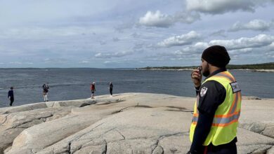 Peggy’s Cove Danger: How Guardians Keep Visitors Safe At Beautiful But Deadly Tourist Site