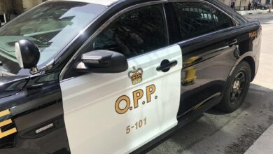 Court Rejects Opp Finding Of No ‘serious’ Officer Misconduct After Pedestrian Killed