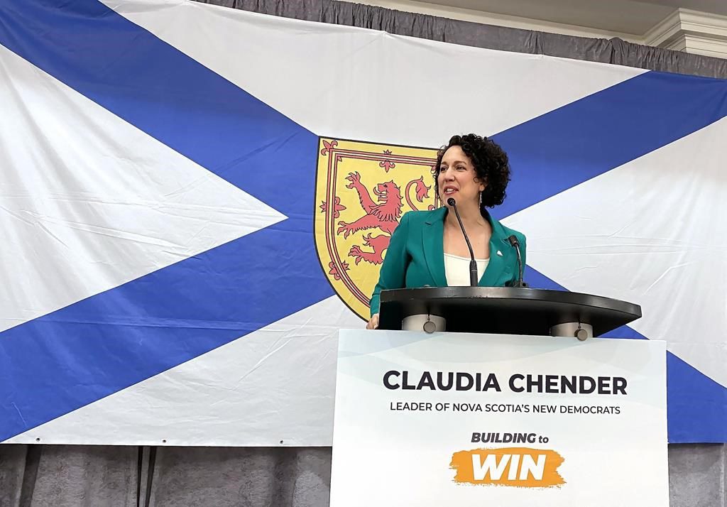 Nova Scotia Ndp Tables Opposition Bill To Declare Domestic Violence An Epidemic