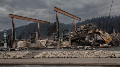 Canada’s 2024 Wildfire Season On Track To Be 2nd Largest In Last 20 Years