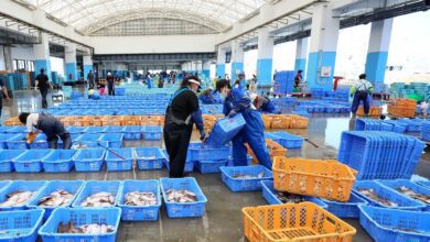 China To ‘gradually’ Resume Imports Of Japanese Seafood