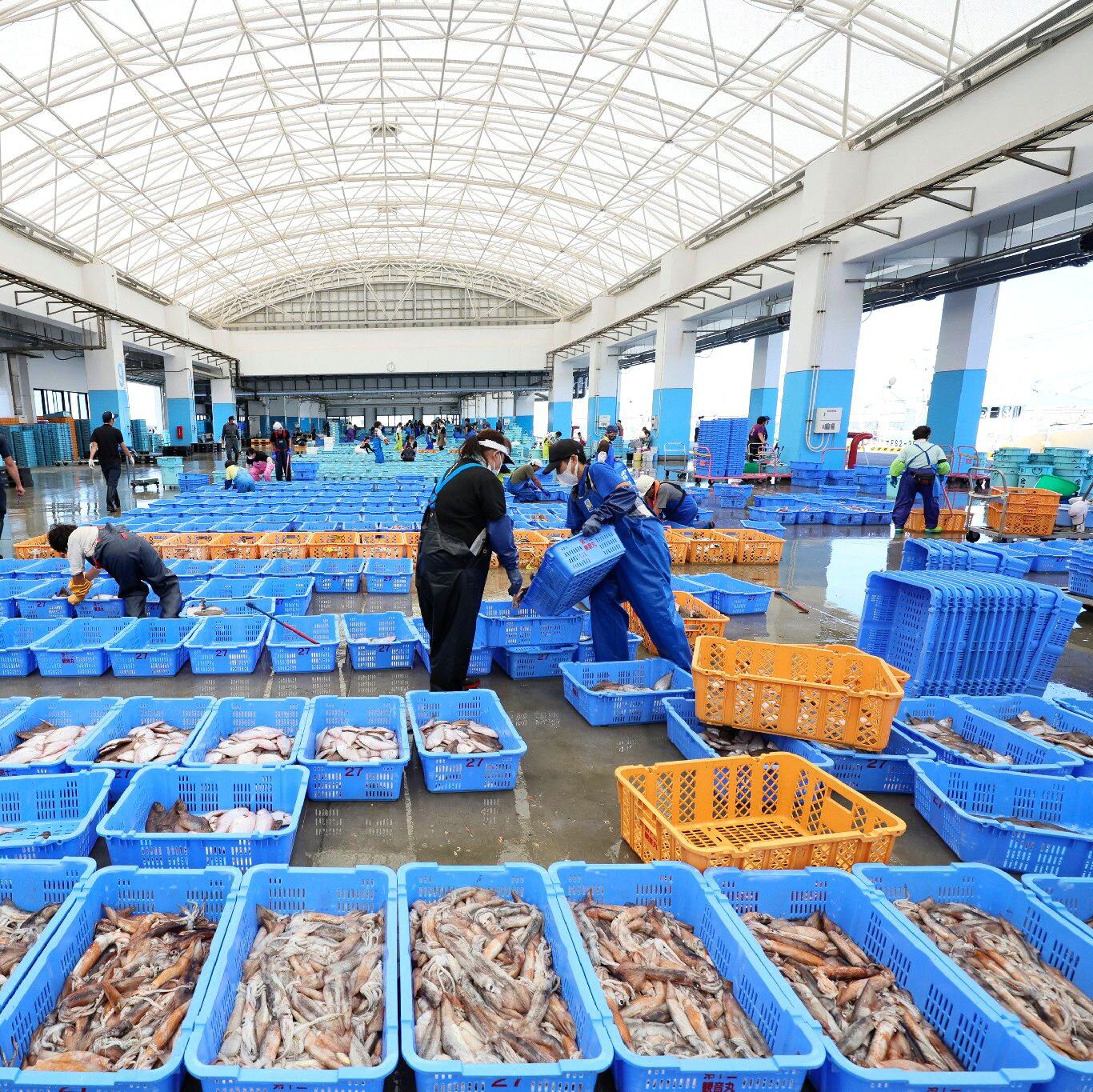 China To ‘gradually’ Resume Imports Of Japanese Seafood