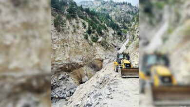 Several Labourers Trapped Due To Snowfall, Sliding Of Rocks In Himachal