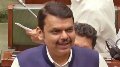 On Accident Involving Maharashtra Bjp Chief Son's Audi, D Fadnavis Says...