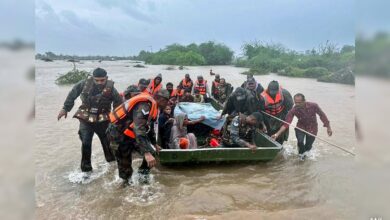 Gujarat's Bharuch Gets 120mm Of Rainfall In 2 Hours, 10 Rivers Overflowing