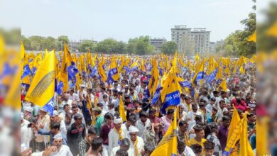 Haryana Polls: Sunita Kejriwal, Bhagwant Mann On Aap's Star Campaigner List