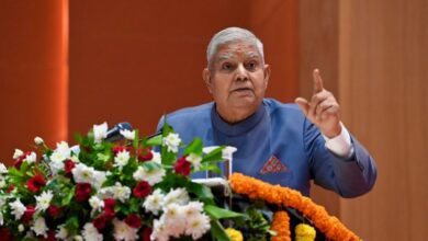 "can Trigger Narrative": Veep After Top Court's Cbi "caged Parrot" Remark