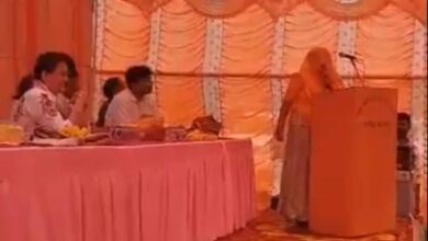 Viral: Woman Sarpanch's Speech In Fluent English Before Bureaucrat Tina Dabi