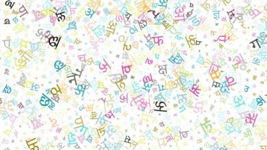 Hindi Has Unbreakable Relationship With Every Indian Language: Amit Shah