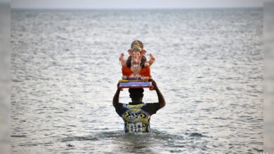 2 Schoolboys Drown During Ganesh Idol Immersion In Odisha: Police