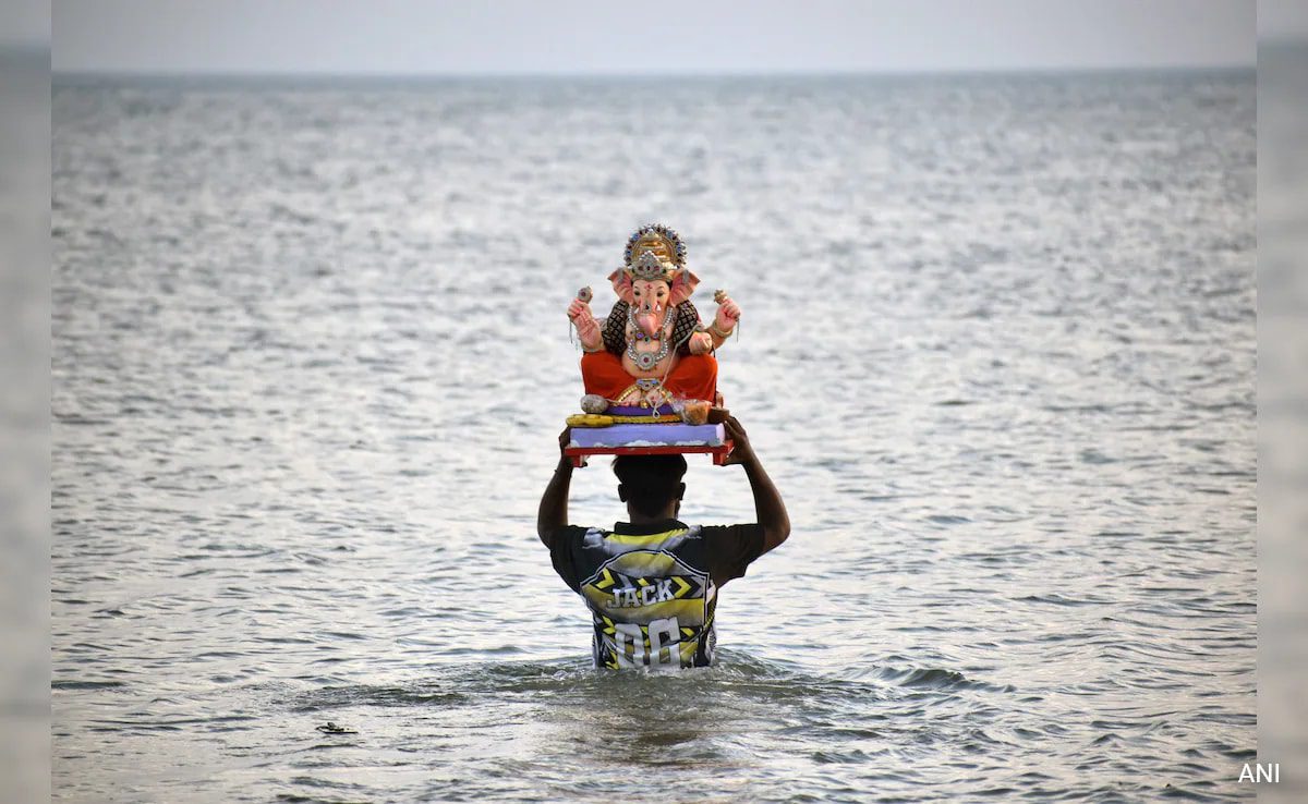 2 Schoolboys Drown During Ganesh Idol Immersion In Odisha: Police