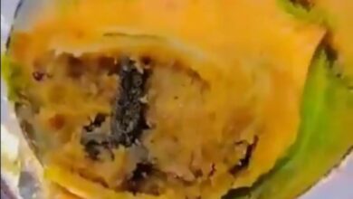 Video: Frog Leg In Samosa Found At Bikaner Sweets Outlet Near Delhi