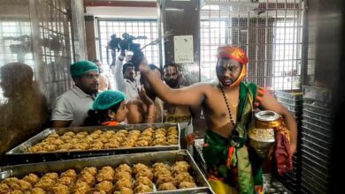 Amid Animal Fat Row, 14 Lakh Tirupati Laddoos Sold In 4 Days