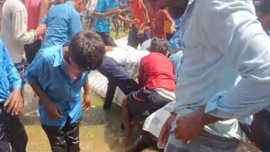 Video: Nitish Kumar Puts Fish In Tank, Crowd Loots Them When He Leaves