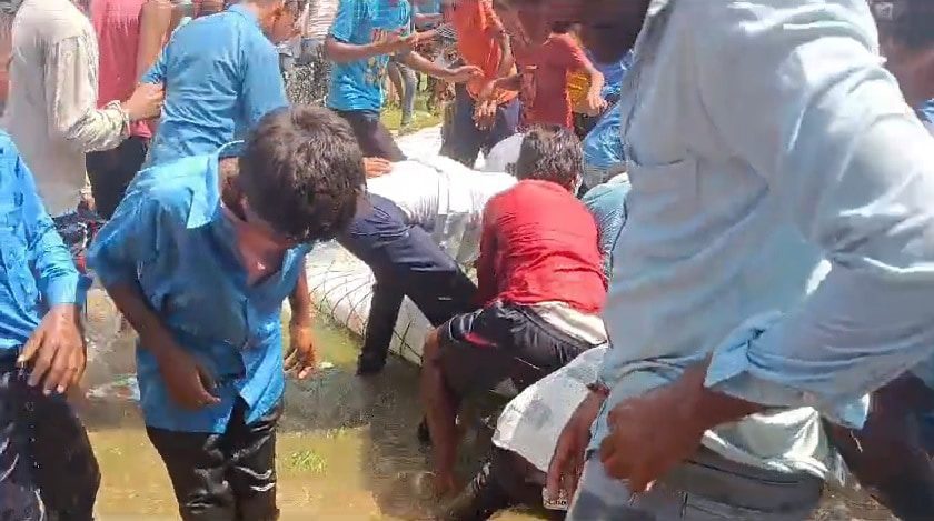 Video: Nitish Kumar Puts Fish In Tank, Crowd Loots Them When He Leaves