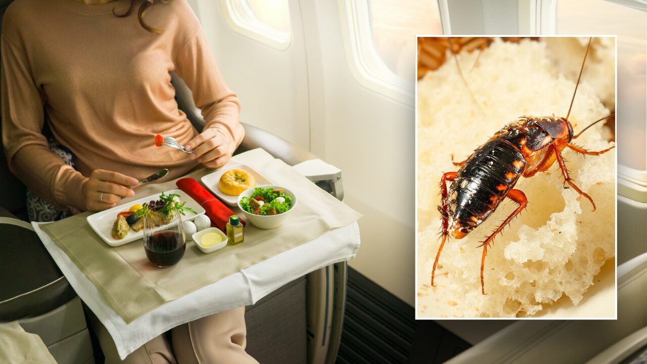 Airline Passenger Reportedly Falls Ill After Eating Cockroach Filled Omelet