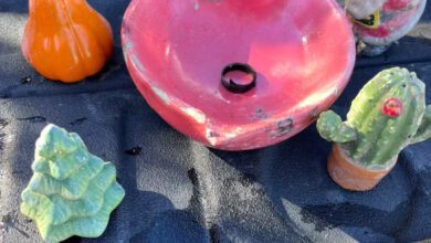 Okanagan Woman’s Items Salvaged From 2023 Wildfire Going To New York