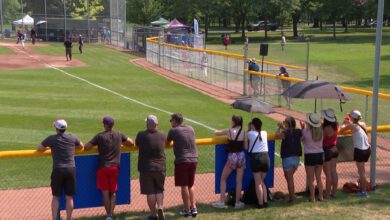 Kingston City Council Decides Cricket Field Fence Will Stay In Place For Now