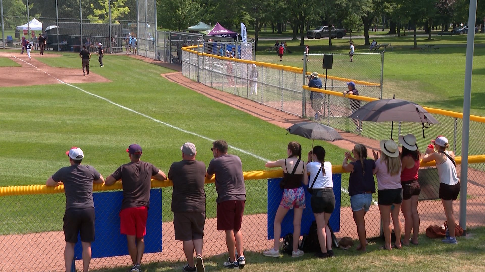 Kingston City Council Decides Cricket Field Fence Will Stay In Place For Now