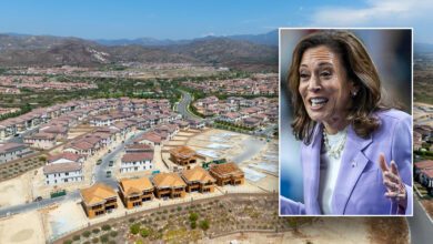 Real Estate Investor Explains Why Kamala Harris Is The Candidate Who 'does Not Understand Housing'
