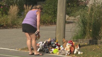 ‘i Couldn’t Stop Crying’: Memorial Grows For 5 Year Old Boy Killed In Home