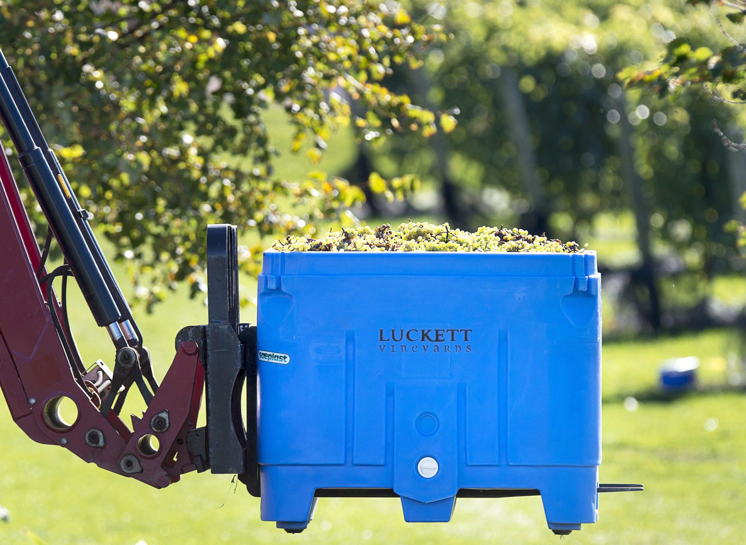 Nova Scotia Government Says Offer Rejected By Wine Industry Is ‘fair’