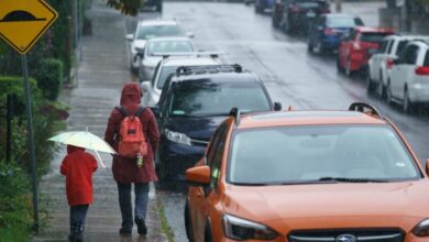‘widespread And Heavy’: Toronto To See Plenty Of Rain With Warning In Place