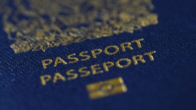 Americans Can Now Renew Passports Online. Canadians Are Still Waiting