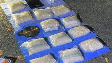 Arrests In Canada Part Of Global Takedown Of Criminal Messaging App: Police