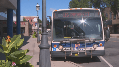Fredericton Transit Proposes Route Changes And Increased Service