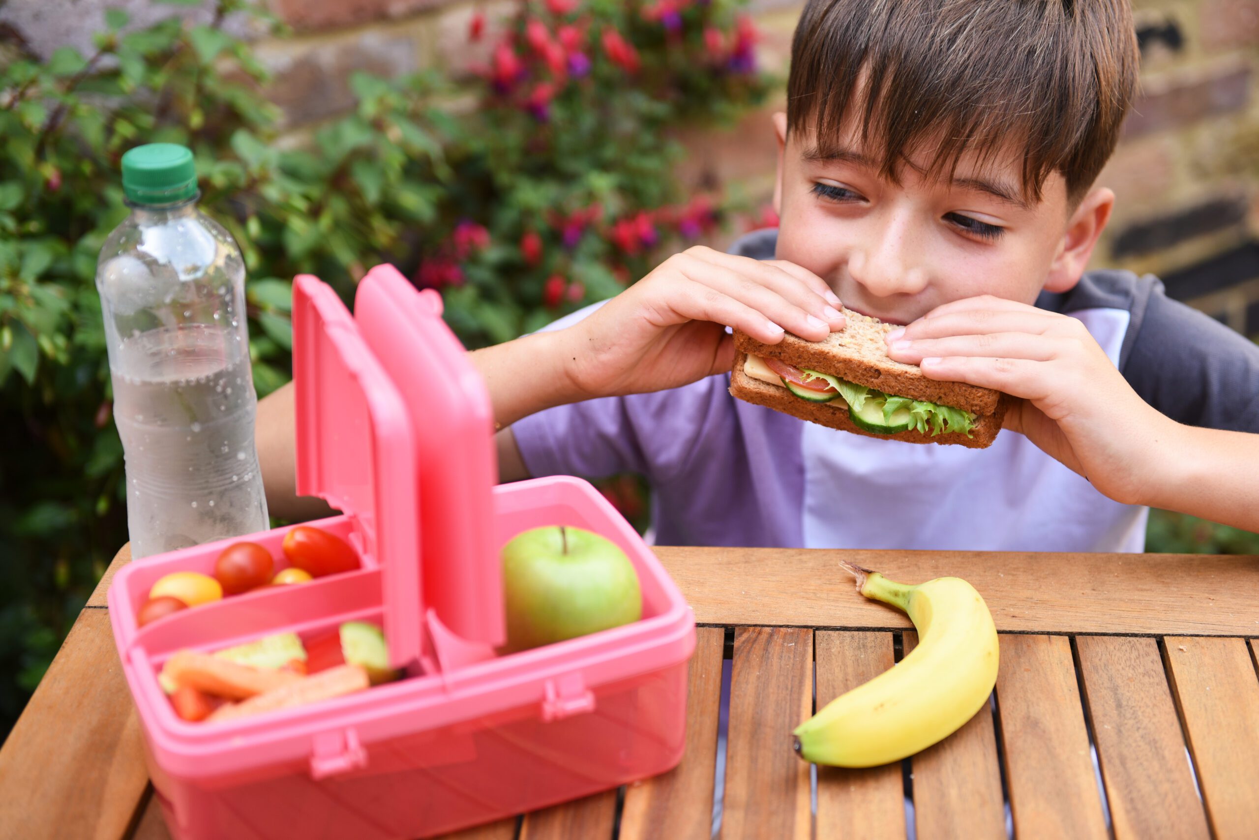 Back To School Lunches: Dietitian Tips For Avoiding Ultra Processed Foods