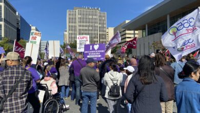 Edmonton Education Staff Rally At Alberta Legislature For ‘education Day Of Action’