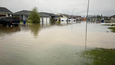 Kleefeld, Man. Woman Homeless After ‘heartbreaking’ Downpour Floods Community