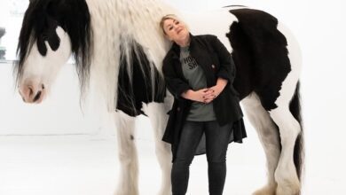 ‘it’s Not Canadian’: Jann Arden Ramps Up Campaign Against Live Horse Exports For Meat